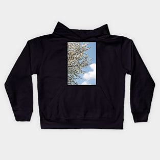 A tree flowering with White Cherry blossom with Blue Sky Kids Hoodie